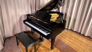 FALL SALE! YOUNG CHANG G185 #053171 - Picture 1 of 17