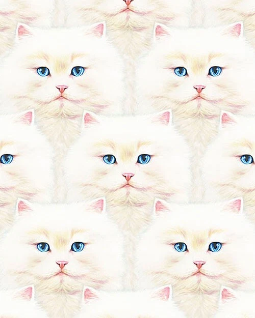 Fluffy Cat Faces Persian Princesses Whiskers and Tails Quilting Fabric 46x112cm - image 1 of 1