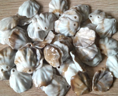 Acryl Muscheln Mit Loch Schmuck Basteln Creme Weiß Beige DIY Kreativ 50 Stück - Bild 1 von 4