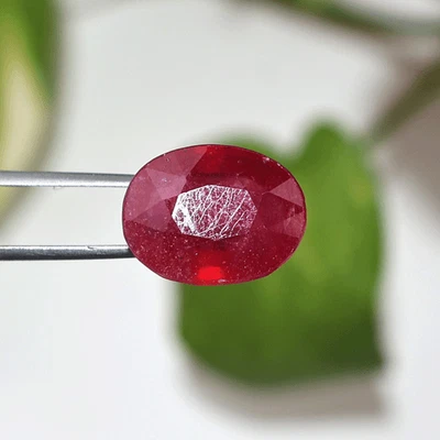 10.7 Cts Mozambique Natural Ruby High Grade 14mmx11mm Oval Faceted Cut Gemstone - Image 1 of 4
