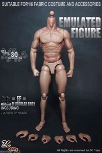 ZC Toys 1/6 Muscular Soldier Action Figure Body 12in Male Model Collectible Toys - Picture 1 of 14
