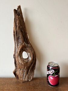 Driftwood Piece, pointed log with eye Bogwood  for  viv, or Display "birdseye"
