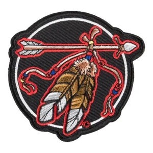 Native Arrow And Feathers Patch, American Indian Patches - Picture 1 of 4