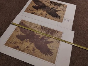Bev Doolittle ESCAPE LEPRE realismo americano CACCIA SALA GIOCHI prateria STAMPA arte HAWK - Foto 1 di 12