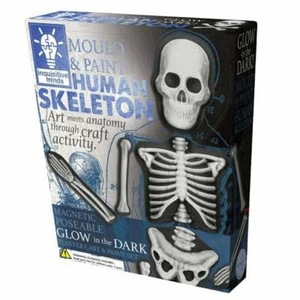 Kit de esqueleto humano molde y pintura House of Marbles para niños - Imagen 1 de 2