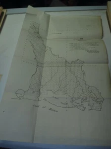 Vintage "Map of the South Western District Louisiana" - Picture 1 of 1