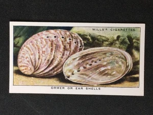 1938 Wills's The Sea-Shore Eire version #16 Ormer Or Ear Shells Excellent - Picture 1 of 2
