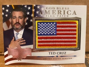 TED CRUZ Decision 2020 POLITICAL FLAG PATCH!! GBA-78