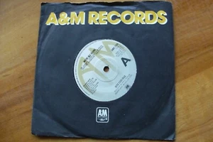 RITA COOLIDGE 1977 WE'RE ALL ALONE 45 rpm 7" N/MINT SINGLE RECORD AMS7295 - Picture 1 of 2