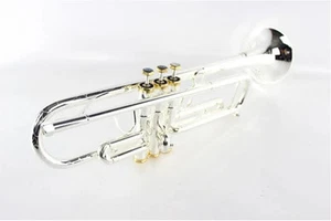 New Arrival MARGEWATE LR197GS Brass Body Silver Plated And Gold Color Bb Trumpet - Picture 1 of 8