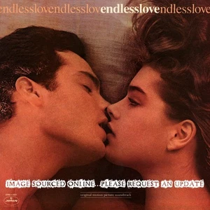Soundtrack: Endless Love (1981 US Cut-Corner Gatefold Cover Promo LP w/Innr Slv) - Picture 1 of 1
