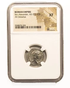 NGC XF Denarius Severus Alexander AD222-235 NGC Ancients Certified Roman T11 - Picture 1 of 3