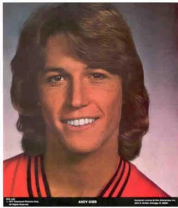 ANDY GIBB Close-Up 1977 Poster Put-On Sticker - Picture 1 of 1