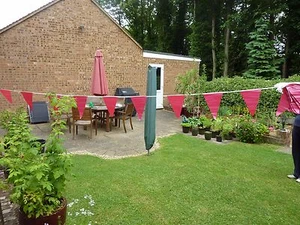 2 x 30 Metre Fuchsia Pink Coloured Flag Bunting - New - Picture 1 of 1