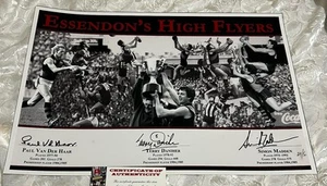 Essendon High Flyers Photo Print Hand Signed Terry Daniher, Van Der Har, Madden - Picture 1 of 24