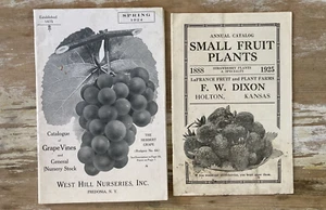 Vintage gardening catalogs Dixon Small Fruit Plants + West Hill Nurseries 1920's - Picture 1 of 11