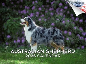 Calendario Raza Perro Pastor Australiano 2026 12x18 Hecho en EE. UU. - Imagen 1 de 7
