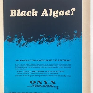 Swimming Pool Print Ad Vtg 1968 Rare Black Algae? Onyx Chemical Jersey City NJ - Picture 1 of 8
