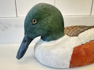 Shoveler Drake Wood Wooden Duck Glass Eyes Eye Signed Royce Evans C Evans - Picture 1 of 12