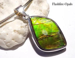 GEM Ammolite Silber Anhänger  Grün-Golden-Orange  + VIDEO  Flashfire-Ammonites - Bild 1 von 6