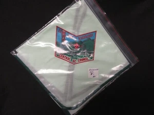 Pañuelo Camp John J. Barnhardt 1982 eb14 - Imagen 1 de 1