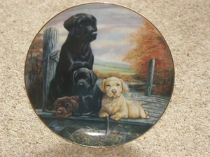 Family Circle - Franklin Mint Fine Porcelain Decorative Plate by Ruane Manning - Picture 1 of 5