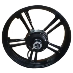 XDLY-20Z APE RYDER Buje de rueda 48V 750W 20"" Rueda trasera Motor Ebike Kit de conversión - Imagen 1 de 8