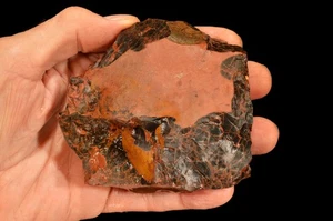 Spiderman Jaspis 4" 1 Pfund 3 Oz Lapidar grob roh Berg Mineral Heilkristall - Bild 1 von 2