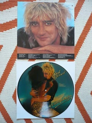 Rod Stewart Blondes Have More Fun Vinyl Picture Disc US 1978 Warner Bros LP - Image 1 of 4