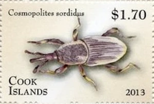 Cook Islands #SG1723 MNH 2013 Banana Root Borer [1472g Mi1868] - Picture 1 of 1