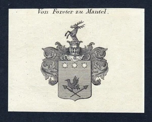 ca. 1820 Forster zu Mantel Wappen Adel coat of arms Kupferstich antique print - Bild 1 von 1