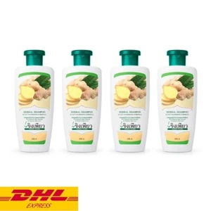 4x Keing Pure Ginger Shampoo Herbal Anti Hair Loss Fall Scalp Nourishing 250 ml - Picture 1 of 6