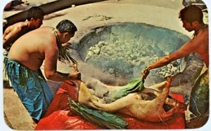 United Airlines, UAL,c1960 Vtg Postcard, Hawaii Luau roast pig imu, BN3 chrome - Picture 1 of 2