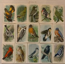 Useful Birds of America 9th Series Card Set J-9 Type 5-2AB 15 Cards Church & Dwi