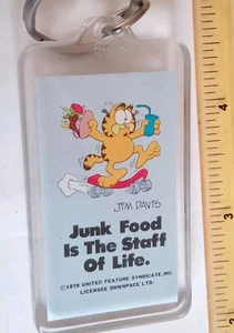 Vintage old Keyring plastic Window Junk Food Is The Staff Of Life Garfield Cat - Picture 1 of 3