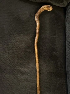 Yellow Root Cane Hawthorne Wood Australia - Picture 1 of 12