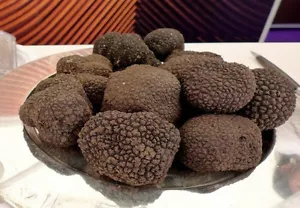 Kostbare italienische frische schwarze Trüffel. Schwarzer Trüffel 350g. 12,3 Unzen. Pilze. Top - Bild 1 von 4