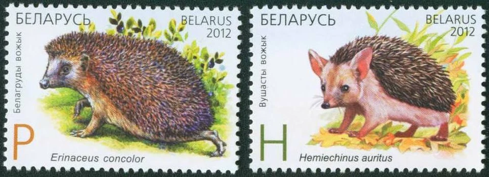 Belarus 2012 Fauna, Hedgehogs, Joint issue with Kazakhstan MNH**  - Image 1 of 1