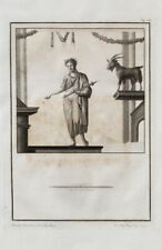 Herculaneum Ercolano Napoli Naples Fresco Toga Goat Capra Goat Archeology 1760