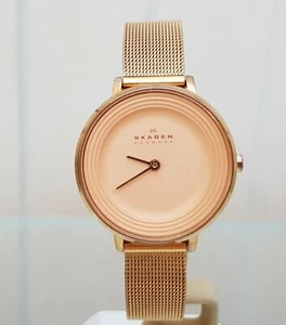 Reloj SKAGEN Damas MALLA Correa Autoajustable DELGADO Oro Rosa PVP £189 Funcionando (SK41 - Imagen 1 de 12