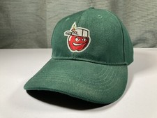 Fort Wayne Tin Caps Hat Minor League Baseball Green Promotional Adventures Cap
