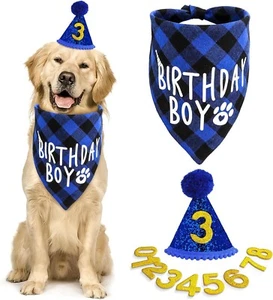 Bandana Hat with 8 Bling Number Pet Dog Birthday Party - Picture 1 of 7