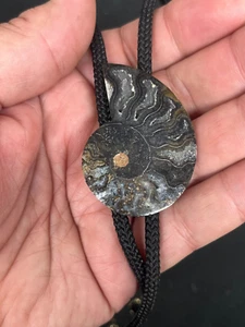 Ammonite Fossil Madagascar Western Bolo Tie - Picture 1 of 2