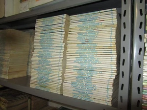 COLLEZIONE SEQUENZA COMPLETA DI ZAGOR ZENITH ORIGINALI DAL N. 401 AL N. 500 - Bild 1 von 8