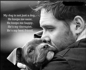 Inspirational  dog quote refrigerator magnet  3 1/2"x 4" - Bild 1 von 1