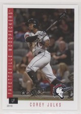 2019 Grandstand Fayetteville Woodpeckers Corey Julks