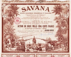 SAVANA - ACTION DE 2500 FRANCS 1951 - INDE PONDICHERY - N°038993 - Imagen 1 de 2