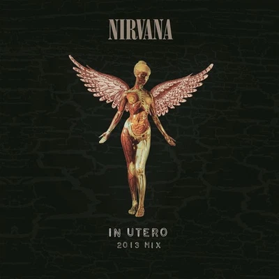 Nirvana – In Utero (2013 Mix) - 2LP - 45RPM - 180Gram - Brand New/Mint Vinyl - Image 1 of 4