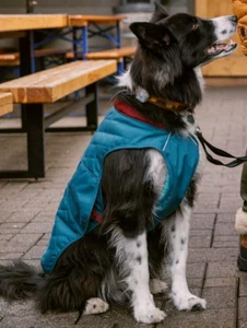 ❤️ RUFFWEAR Stumptown Jacket Hundemantel Metolius Blue M Wintermantel ❤️ - Bild 1 von 17