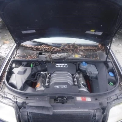 Automatic Transmission 3.0L CVT FWD Fits 02-03 AUDI A6 18668974 Foto 1 de 4